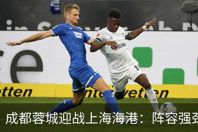 成都蓉城迎战上海海港：阵容强劲，争冠之路考验重重