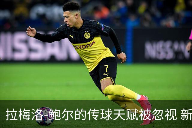 拉梅洛-鲍尔的传球天赋被忽视 新赛季或将全面展示